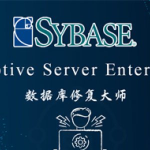 Sybase ASE数据库恢复工具READSYBDEVICE