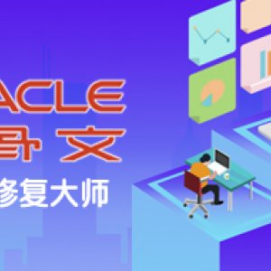 Oracle数据库恢复工具